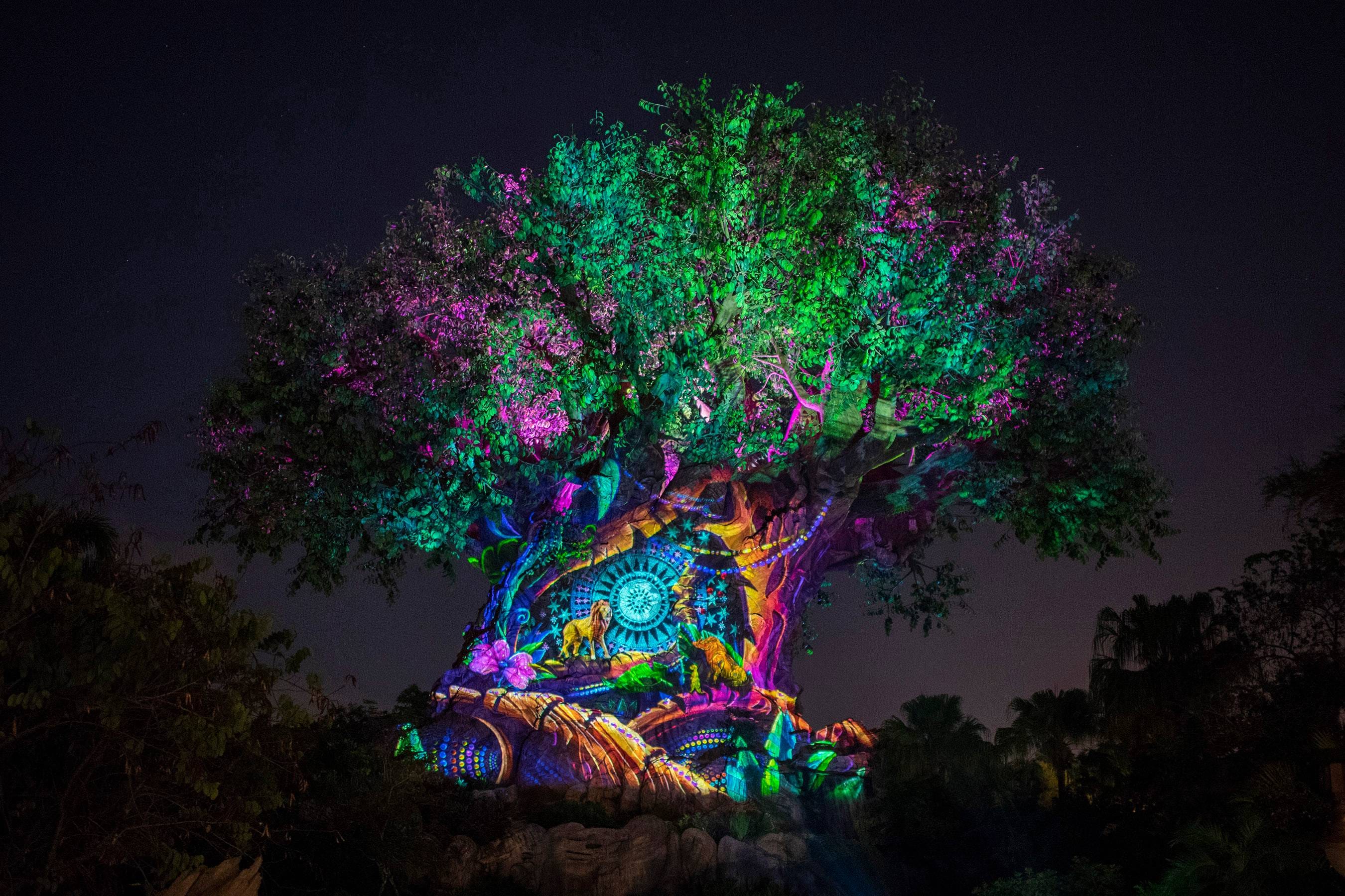 Show Tree of Life Awakenings volta ao Animal Kingdom em novembro