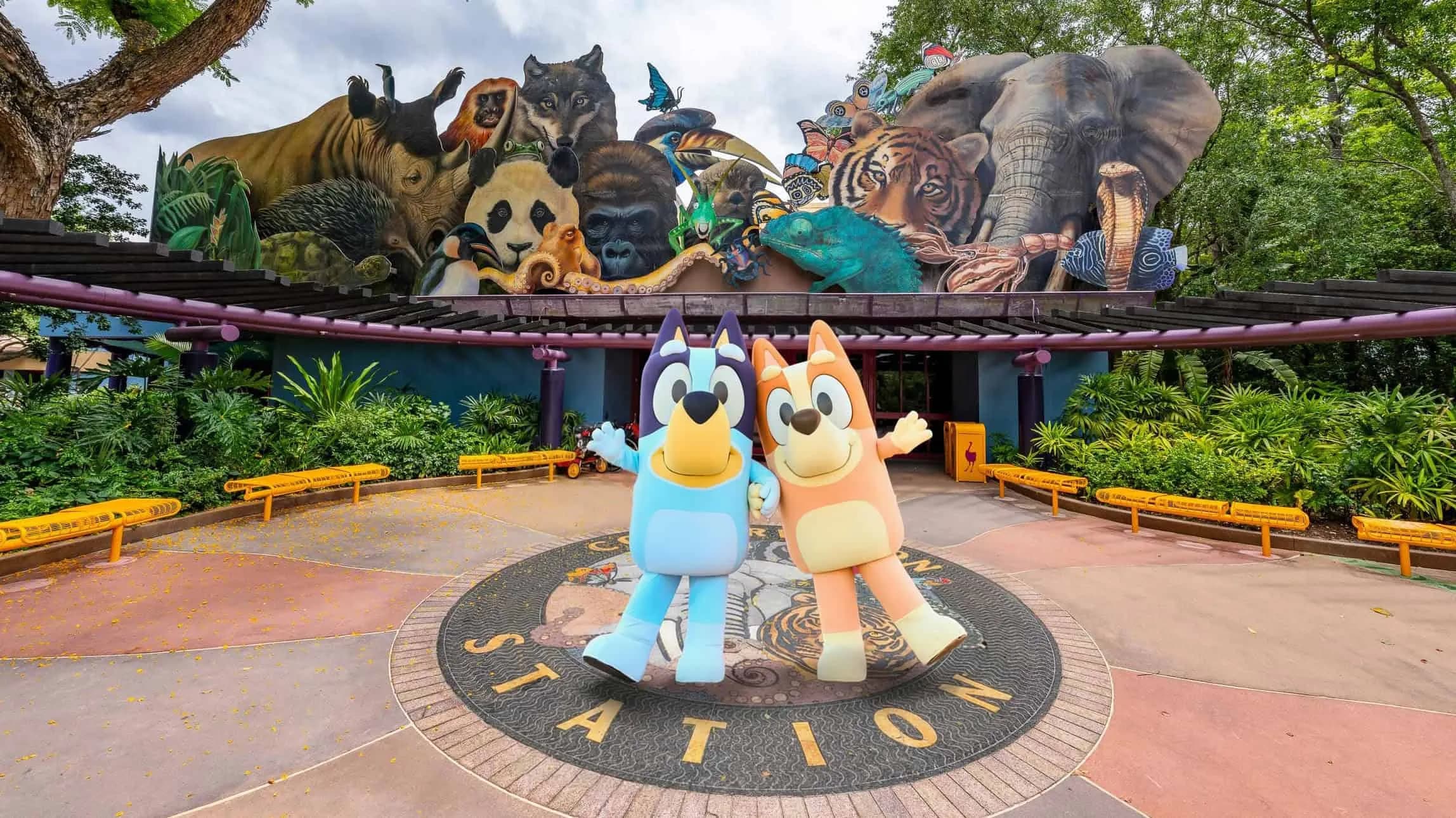 Bluey's Wild World abriu: como funciona no Animal Kingdom