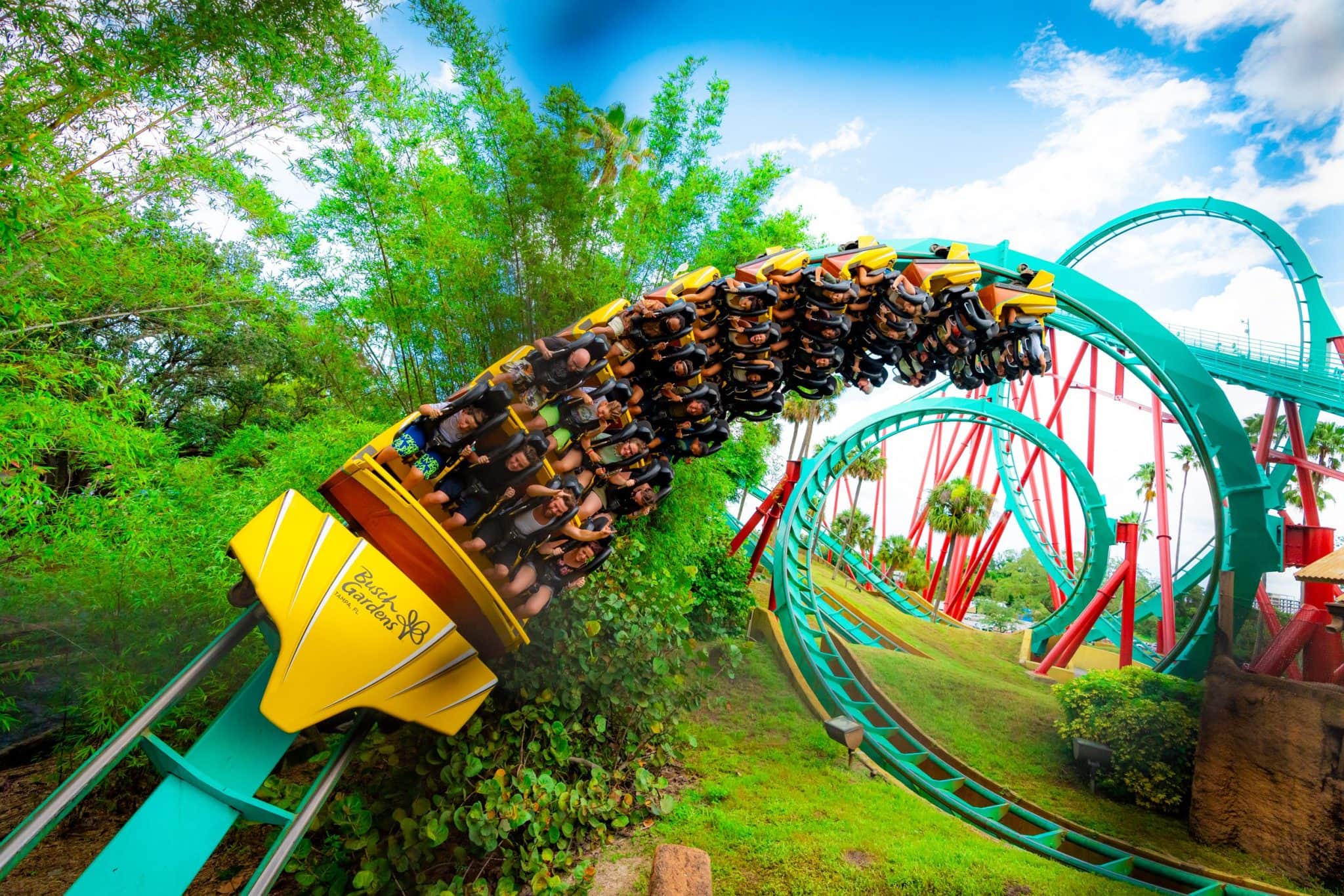 Kumba vai fechar definitivamente no Busch Gardens após 33 anos de história