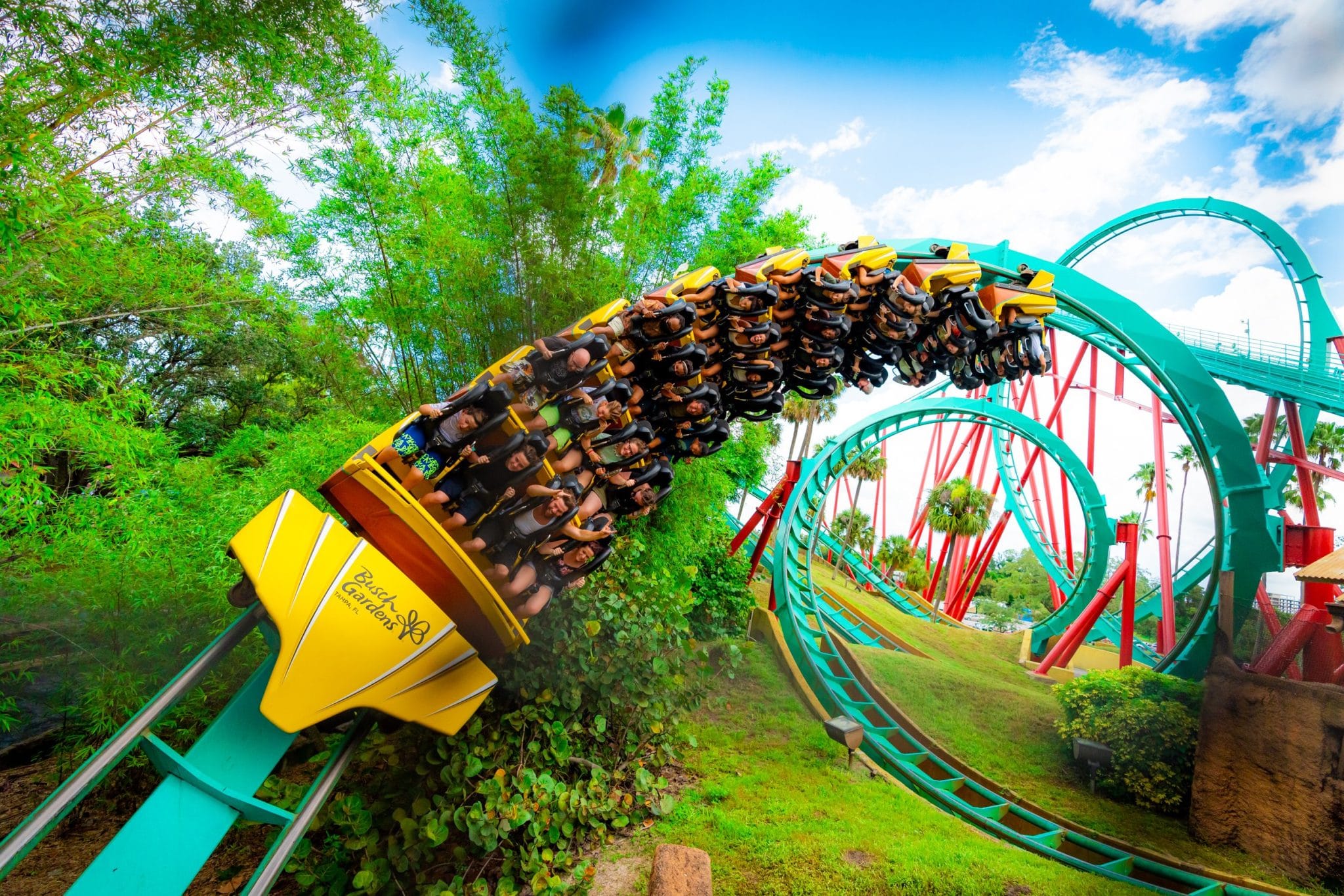 Kumba vai fechar definitivamente no Busch Gardens após 33 anos de história