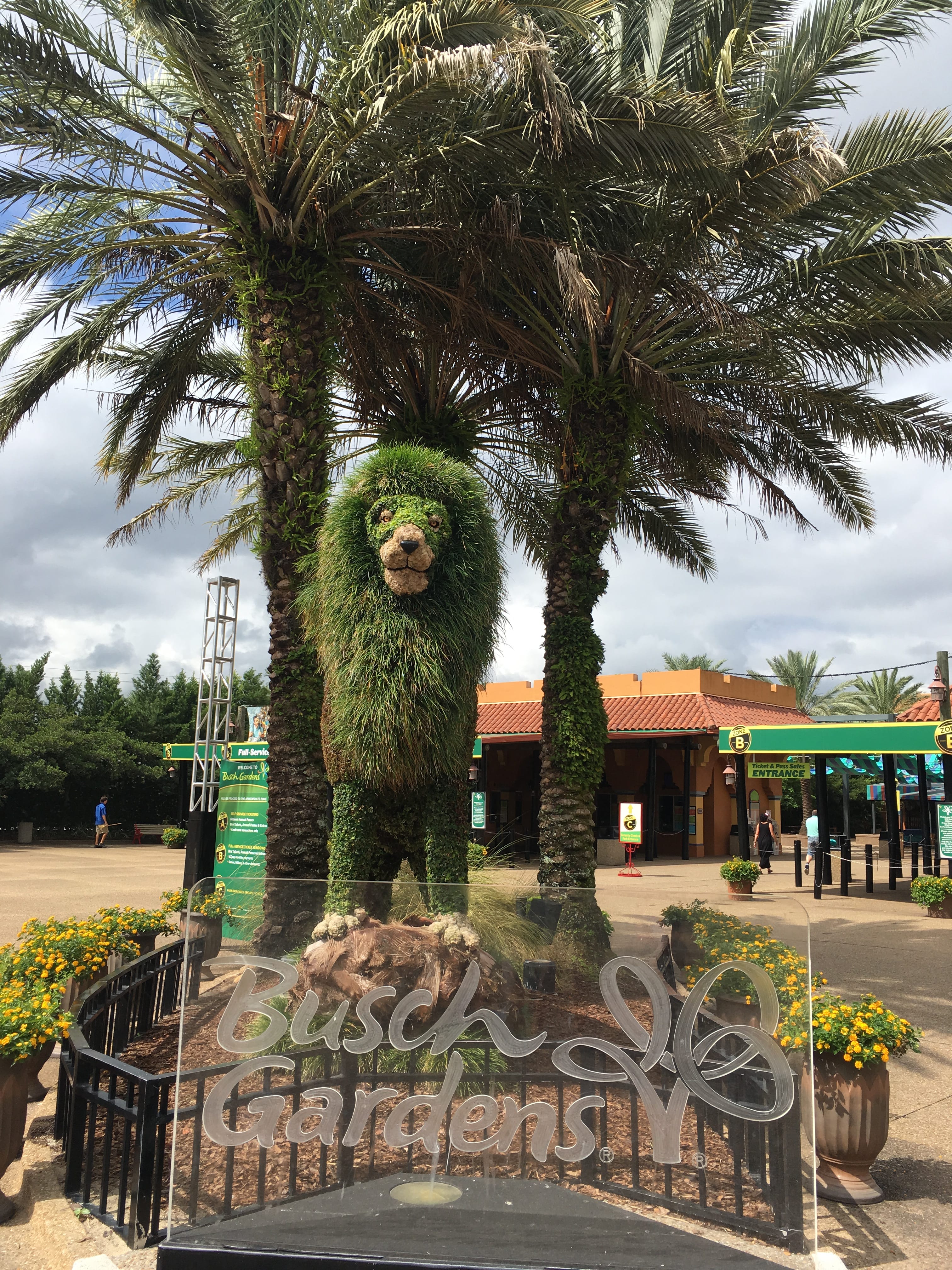 Transporte gratuito do Busch Gardens continua disponível; veja o que mudou nas reservas