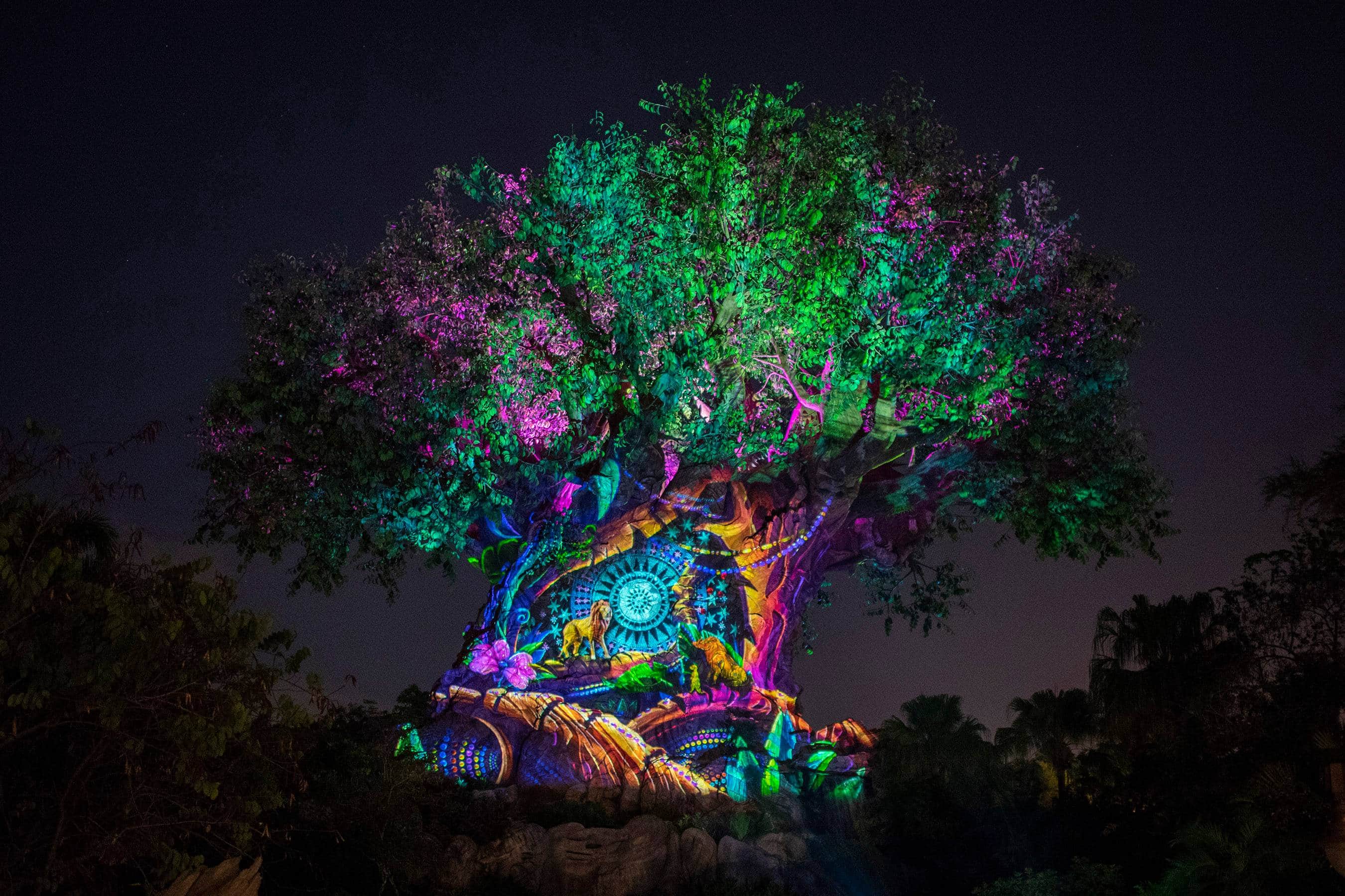 Show Tree of Life Awakenings volta ao Animal Kingdom em novembro